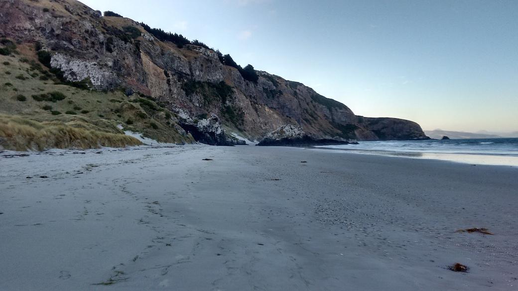 View down the beach