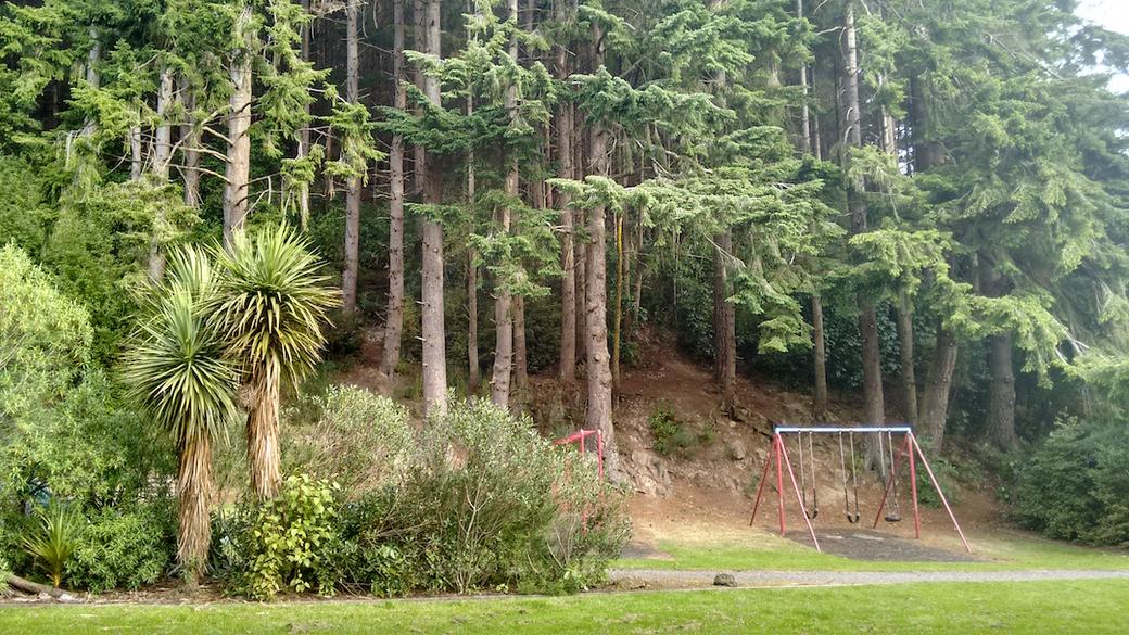 Playground under the trees