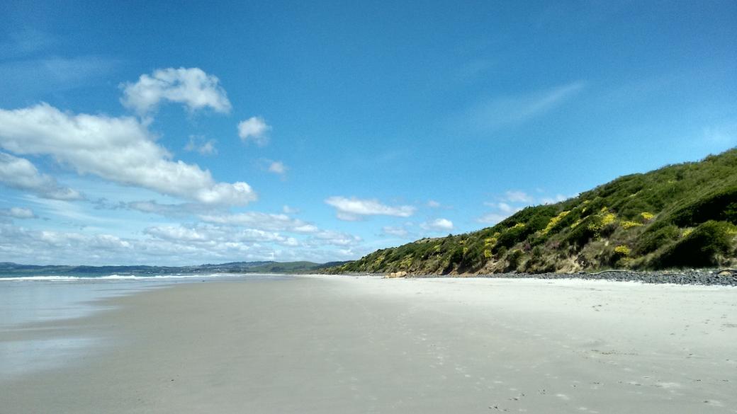 Looking down Blackhead Beach