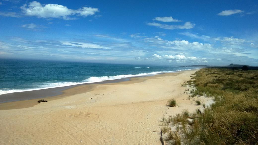 View down the beach