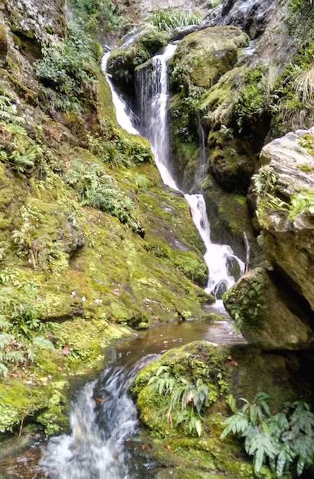 A stream of water